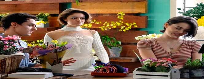 Novela Sangue Bom Resumo do capítulo 08 de Julho