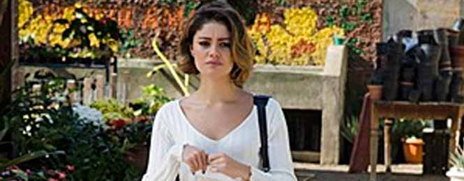 Novela Sangue Bom Resumo do capítulo 17 de Agosto