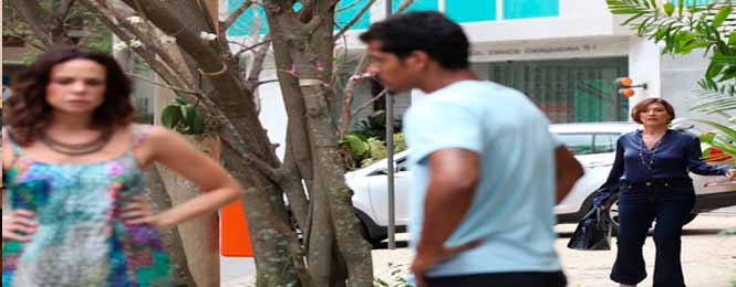 Novela Em Família Resumo do capítulo 28 de Fevereiro